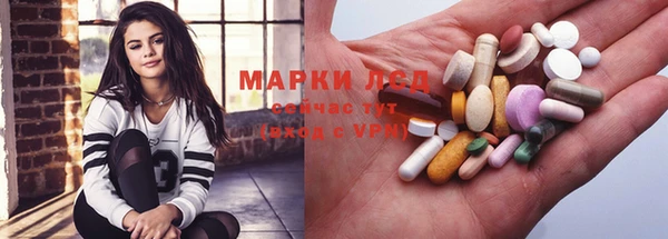 стафф Аркадак