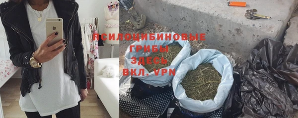 стафф Аркадак