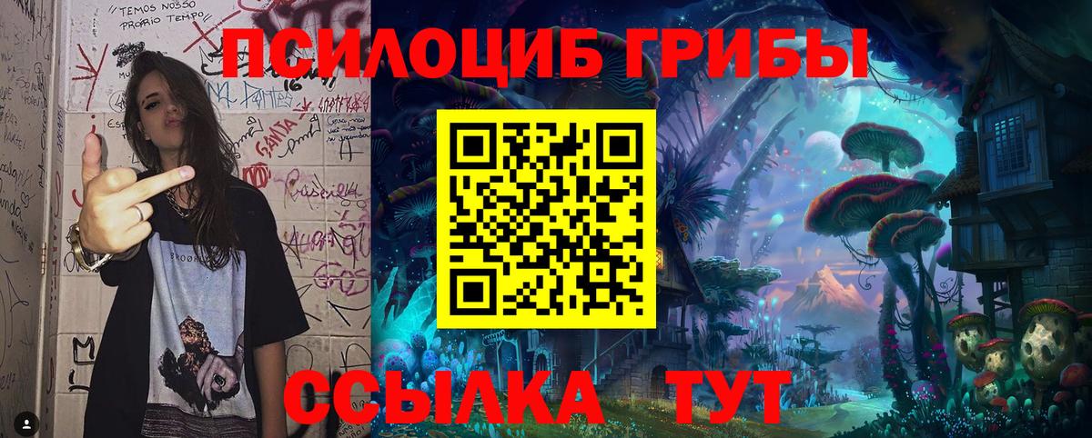 Псилоцибиновые грибы Magic Shrooms  купить наркоту  Чернушка  Вход с VPN  Псилоцибиновые грибы GOLDEN TEACHER 