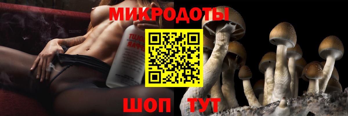 Псилоцибиновые грибы мицелий Чернушка