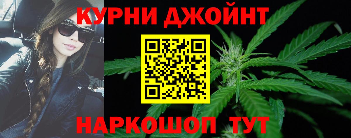 Шишки марихуана семена  Канабис MAZAR  Конопля гибрид  Вход с VPN  Чернушка 